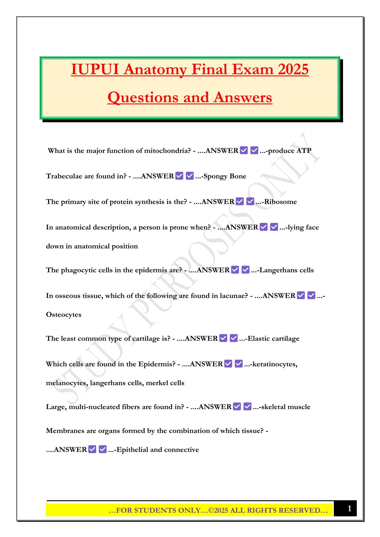 IUPUI Anatomy Final Exam 2025 Questions and Answers